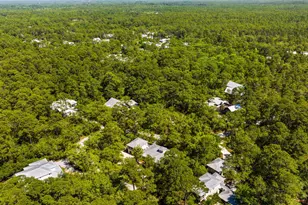 364 Amelia Ln, Santa Rosa Beach, FL 32459 - Photo 86