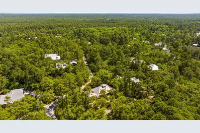 364 Amelia Lane, Santa Rosa Beach, FL 32459 - Photo 88