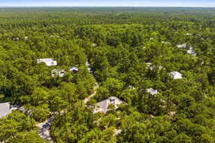 364 Amelia Ln, Santa Rosa Beach, FL 32459 - Photo 88