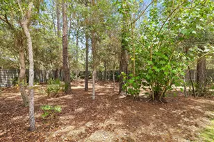 43 Fern Cove, Santa Rosa Beach, FL 32459 - Photo 60