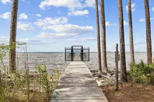 43 Fern Cove, Santa Rosa Beach, FL 32459 - Photo 56