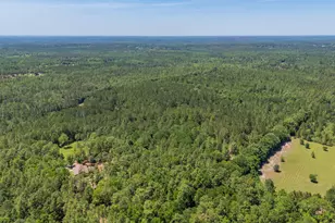 6722 N Hwy 85, Laurel Hill, FL 32567 - Photo 20