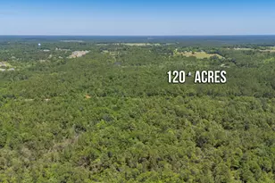6722 N Hwy 85, Laurel Hill, FL 32567 - Photo 16