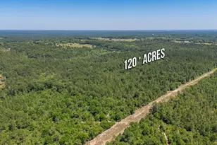 6722 N Hwy 85, Laurel Hill, FL 32567 - Photo 18