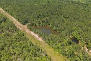 6722 N Hwy 85, Laurel Hill, FL 32567 - Photo 28