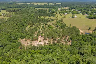 6722 N Hwy 85, Laurel Hill, FL 32567 - Photo 22