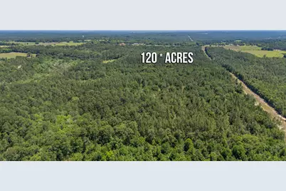 6722 N Highway 85, Laurel Hill, FL 32567 - Photo 24