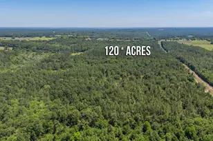 6722 N Hwy 85, Laurel Hill, FL 32567 - Photo 24