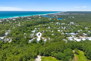 408 Seacrest Dr, Inlet Beach, FL 32461 - Photo 58