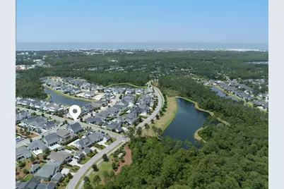113 Catface Drive, Inlet Beach, FL 32461 - Photo 2