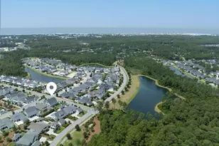 113 Catface Dr, Inlet Beach, FL 32461 - Photo 2