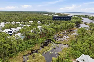 431 Matt's Way, Santa Rosa Beach, FL 32459 - Photo 12