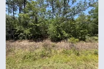 0 N Highway 87, Navarre, FL 32566 - Photo 2