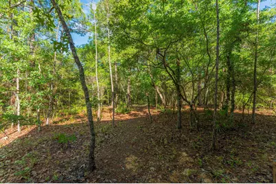 4449 Yellow Bluff Road, Crestview, FL 32539 - Photo 14