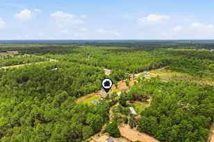 5403 Hwy 393, Crestview, FL 32539 - Photo 66
