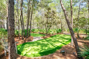 148 Coopersmith Lane, Inlet Beach, FL 32461 - Photo 80