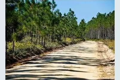 Lot 20 Little Canal Drive, Santa Rosa Beach, FL 32459 - Photo 6