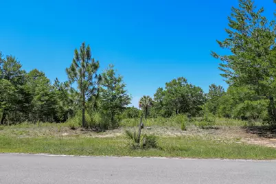 1252 Trout Drive, Defuniak Springs, FL 32433 - Photo 4