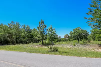 1252 Trout Drive, Defuniak Springs, FL 32433 - Photo 2
