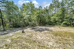 5561 Hwy 393, Crestview, FL 32539 - Photo 54