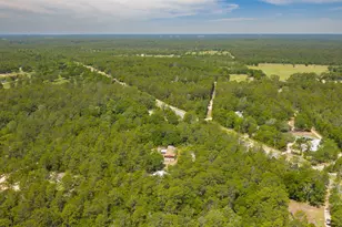 5561 Hwy 393, Crestview, FL 32539 - Photo 50