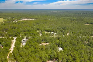 5561 Hwy 393, Crestview, FL 32539 - Photo 48