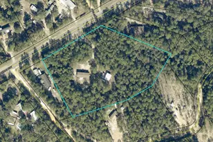 5561 Hwy 393, Crestview, FL 32539 - Photo 62