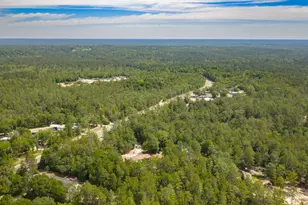 5561 Hwy 393, Crestview, FL 32539 - Photo 46