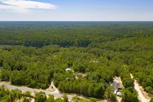 5561 Hwy 393, Crestview, FL 32539 - Photo 42