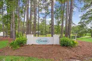 42 Via Largo, Santa Rosa Beach, FL 32459 - Photo 30