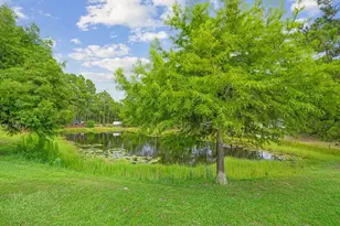 42 Via Largo, Santa Rosa Beach, FL 32459 - Photo 32
