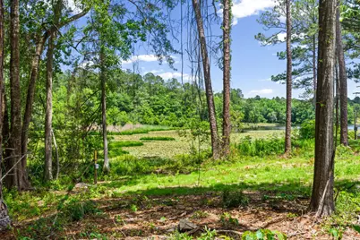 699 Pinewood Drive, Defuniak Springs, FL 32433 - Photo 2