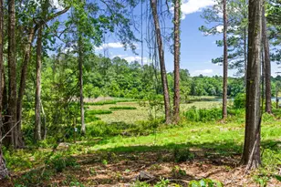 699 Pinewood Dr, Defuniak Springs, FL 32433 - Photo 2