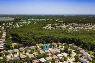 723 Loblolly Bay Dr, Santa Rosa Beach, FL 32459 - Photo 44