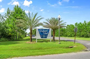 723 Loblolly Bay Dr, Santa Rosa Beach, FL 32459 - Photo 50