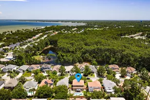 723 Loblolly Bay Dr, Santa Rosa Beach, FL 32459 - Photo 40