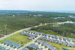 11 Bunting Ln, Inlet Beach, FL 32461 - Photo 56