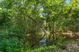 1929 Williams Creek Dr, Navarre, FL 32566 - Photo 48