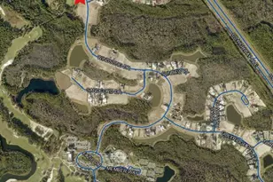 Lot 82 Windsong Dr, Inlet Beach, FL 32461 - Photo 1