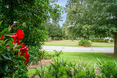 229 Sandchase Circle, Inlet Beach, FL 32461 - Photo 8