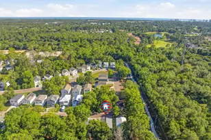 252 Rearden Wy, Santa Rosa Beach, FL 32459 - Photo 68