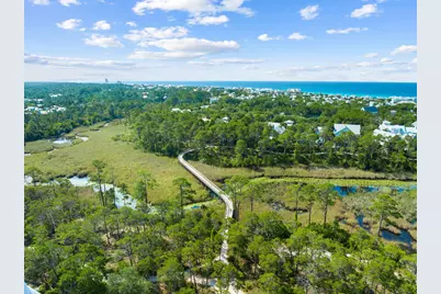 17 Red Basil Drive, Santa Rosa Beach, FL 32459 - Photo 48