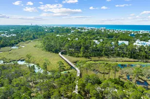17 Red Basil Drive, Santa Rosa Beach, FL 32459 - Photo 48