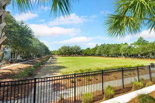 17 Red Basil Drive, Santa Rosa Beach, FL 32459 - Photo 46