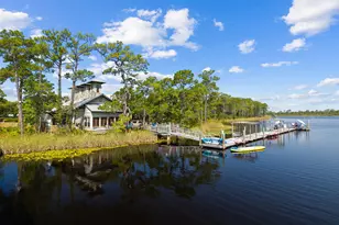 17 Red Basil Drive, Santa Rosa Beach, FL 32459 - Photo 50