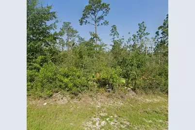 Tbd Sorrells Road, Fountain, FL 32438 - Photo 6