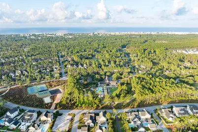 Tbd Pollard Cove West #Lot 32, Watersound, FL 32461 - Photo 2