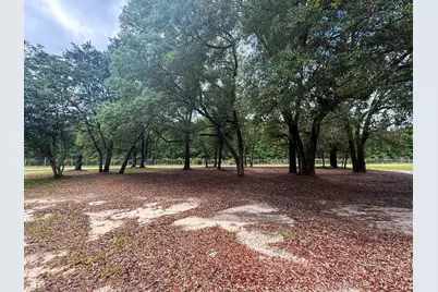 5703 Old River Road, Baker, FL 32531 - Photo 6