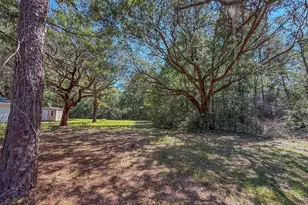 5703 Old River Rd, Baker, FL 32531 - Photo 18