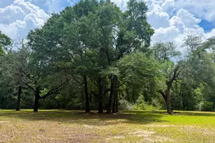 5703 Old River Rd, Baker, FL 32531 - Photo 8